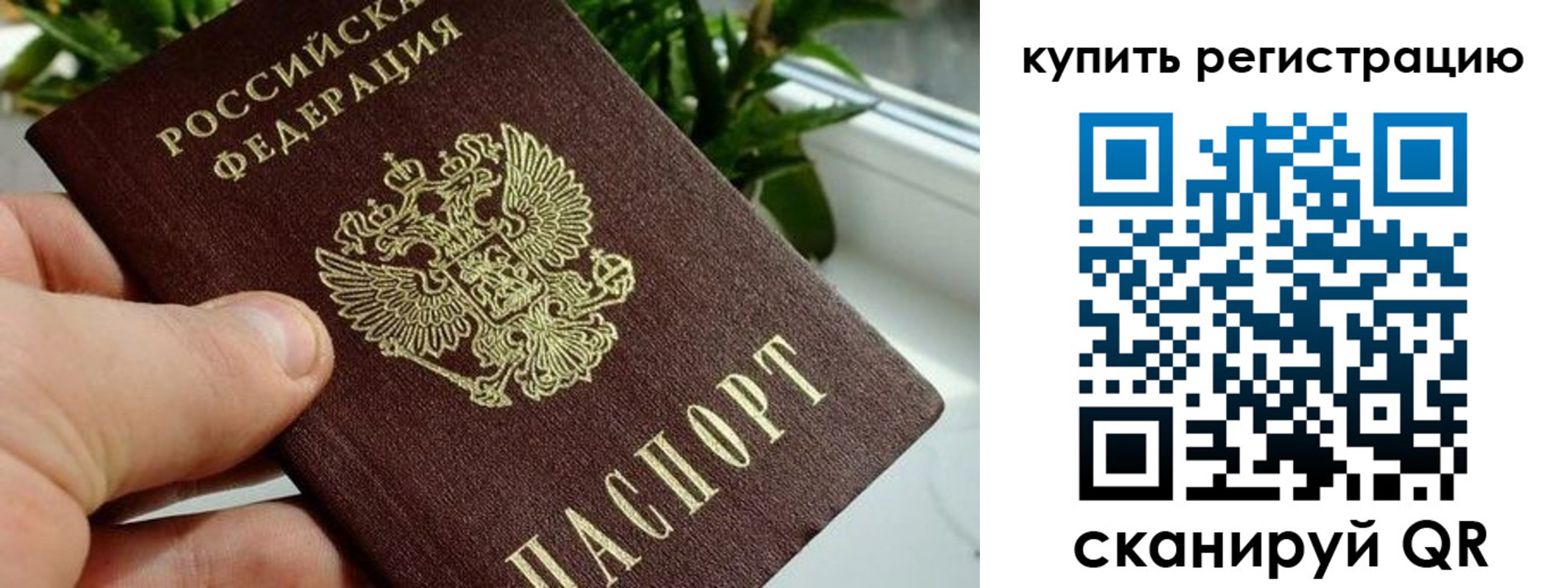 прописка гарантия в Новомичуринске
